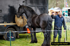 301.2024-04-27-Dorset-Spring-Show-Kingston-Marwood-Dorchester-FDorset.-301