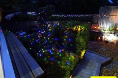 021.2024-08-08-Motorbikes-garden-lights-garden.-21-