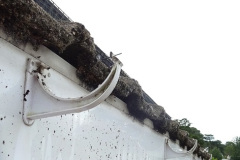 007.2024-08-12-to-14-Your-Host-replaces-the-house-gutter.-7-