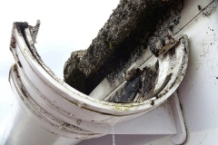008.2024-08-12-to-14-Your-Host-replaces-the-house-gutter.-8-