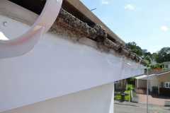 010.2024-08-12-to-14-Your-Host-replaces-the-house-gutter.-10-