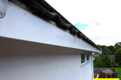 020.2024-08-12-to-14-Your-Host-replaces-the-house-gutter.-20-