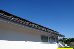 037.2024-08-12-to-14-Your-Host-replaces-the-house-gutter.-37-