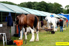 017.2024-08-15-Gillingham-Shaftesbury-Show-Dorset.-17-