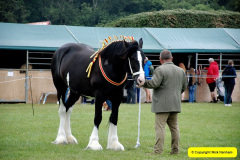 021.2024-08-15-Gillingham-Shaftesbury-Show-Dorset.-21-