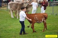 035.2024-08-15-Gillingham-Shaftesbury-Show-Dorset.-35-