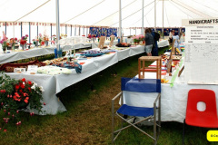 127.2024-08-15-Gillingham-Shaftesbury-Show-Dorset.-127-