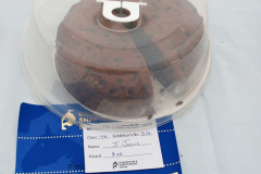 129.2024-08-15-Gillingham-Shaftesbury-Show-Dorset.-129-