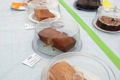 132.2024-08-15-Gillingham-Shaftesbury-Show-Dorset.-132-