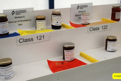 134.2024-08-15-Gillingham-Shaftesbury-Show-Dorset.-134-