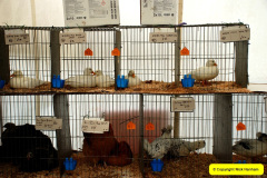 251.2024-08-15-Gillingham-Shaftesbury-Show-Dorset.-251-