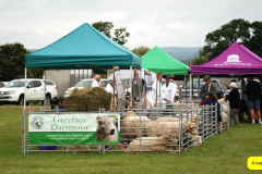 440.2024-08-15-Gillingham-Shaftesbury-Show-Dorset.-440-