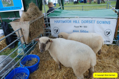 443.2024-08-15-Gillingham-Shaftesbury-Show-Dorset.-443-