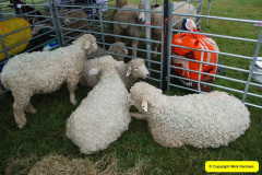455.2024-08-15-Gillingham-Shaftesbury-Show-Dorset.-455-