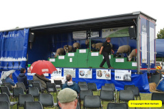 461.2024-08-15-Gillingham-Shaftesbury-Show-Dorset.-461-