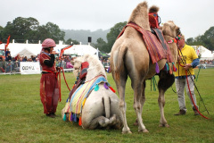 472.2024-08-15-Gillingham-Shaftesbury-Show-Dorset.-472-