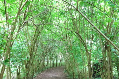 019.2024-08-20-Kingston-Lacy-NT-Near-Wimborne-Dorset.-19-