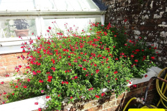040.2024-08-20-Kingston-Lacy-NT-Near-Wimborne-Dorset.-40-