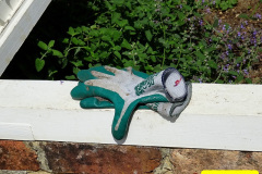 041.2024-08-20-Kingston-Lacy-NT-Near-Wimborne-Dorset.-41-
