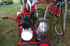 091.2024-08-22-Melplas-Show-Bridport-Dorset.-91