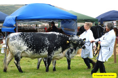 172.2024-08-22-Melplas-Show-Bridport-Dorset.-172