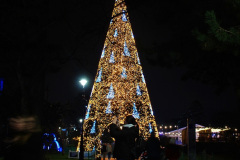 078.2024-12-11-Bournemouth-Christmas-Lights.-78-
