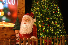 085.2024-12-11-Bournemouth-Christmas-Lights.-85-