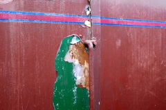 026.2024-12-08-SR-Polar-Express.-26-