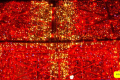 082.2024-12-13-Poole-Christmas-Lights.-82
