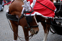 180.2024-12-17-Queen-Anne-Xmas-Markets.-Zeebrugge-for-Bruges-Belgium.-180-