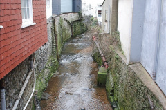 026.2024-02-05-Lyme-Regis-Dorset.-26-
