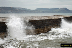107.2024-02-05-Lyme-Regis-Dorset.-107-
