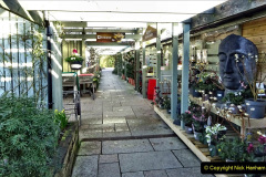 2024 February 12 HOLME Garden Centre