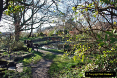 011.2024-02-12-Holme-Dorset.-11-