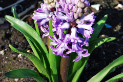 060.2024-02-12-Holme-Dorset.-60-