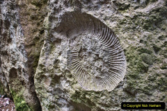 014.2024-02-20-to-23-Three-days-in-Swanage.-14-
