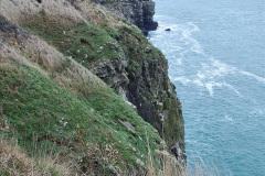 044.2024-02-20-to-23-Three-days-in-Swanage.-44-