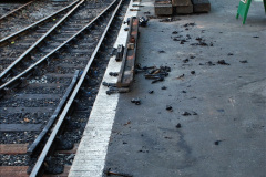 018.2024-01-15-Track-Gang-at-Swanage-and-track-Gang-and-Estates-at-Norden.-18-