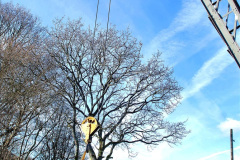 075.2024-01-15-Track-Gang-at-Swanage-and-track-Gang-and-Estates-at-Norden.-75-