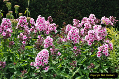 019.2024-07-04-The-Vyne-NT-Near-Basingstoke-Hampshire.-Short-visit.-19-