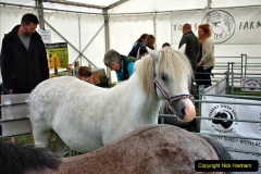 094.2024-06-08-The-Gillingham-Shaftesbury-late-Spring-Show-Shaftesbury-Dorset.-94-