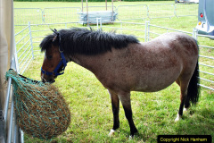 095.2024-06-08-The-Gillingham-Shaftesbury-late-Spring-Show-Shaftesbury-Dorset.-95-