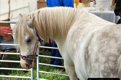 096.2024-06-08-The-Gillingham-Shaftesbury-late-Spring-Show-Shaftesbury-Dorset.-96-
