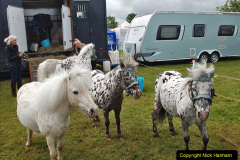 150.2024-06-08-The-Gillingham-Shaftesbury-late-Spring-Show-Shaftesbury-Dorset.-150-