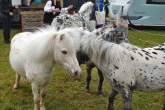 152.2024-06-08-The-Gillingham-Shaftesbury-late-Spring-Show-Shaftesbury-Dorset.-152-