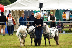 153.2024-06-08-The-Gillingham-Shaftesbury-late-Spring-Show-Shaftesbury-Dorset.-153-