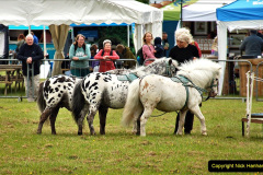 154.2024-06-08-The-Gillingham-Shaftesbury-late-Spring-Show-Shaftesbury-Dorset.-154-