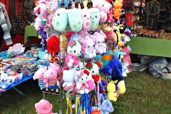 191.2024-06-08-The-Gillingham-Shaftesbury-late-Spring-Show-Shaftesbury-Dorset.-191-