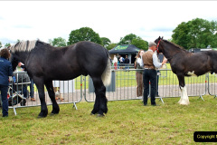 201.2024-06-08-The-Gillingham-Shaftesbury-late-Spring-Show-Shaftesbury-Dorset.-201-