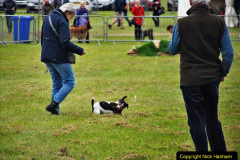 226.2024-06-08-The-Gillingham-Shaftesbury-late-Spring-Show-Shaftesbury-Dorset.-226-
